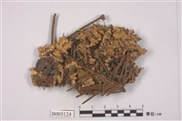 藏品(島衣屬)的圖片